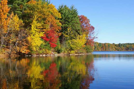 Walden pond